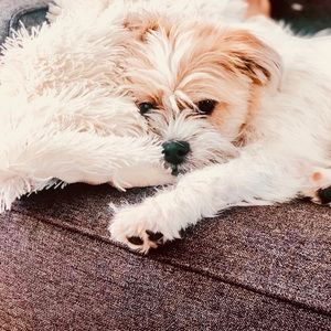 Meet your Posher, Natasha